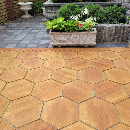 Сота Форест h-60