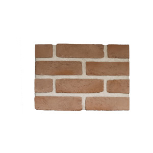 терра бруно 