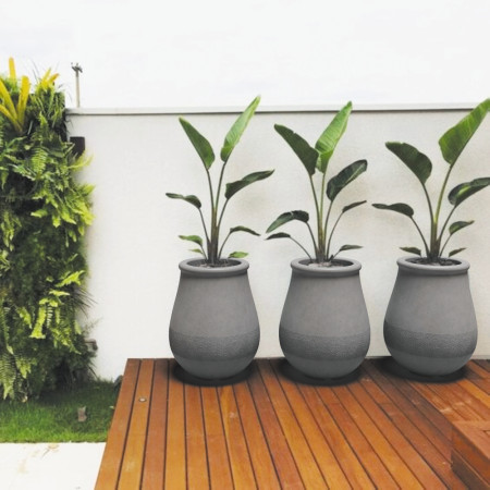 Квітник Аргос Едельвейс L