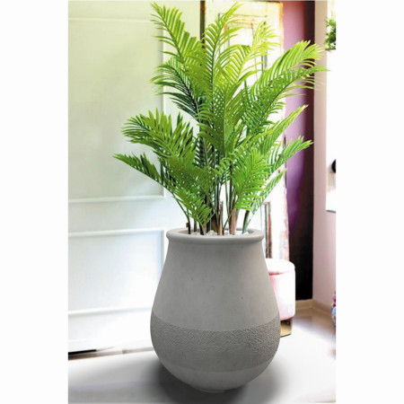 Квітник Аргос Едельвейс L