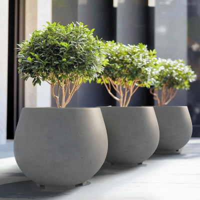 Квітник Аргос Лілас XL