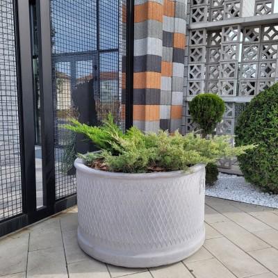 Квітник Барселона Аліта Квітник Барселона Аліта