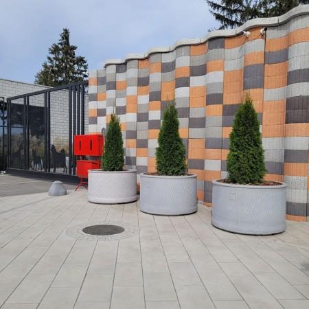Цветочница Барселона Алита