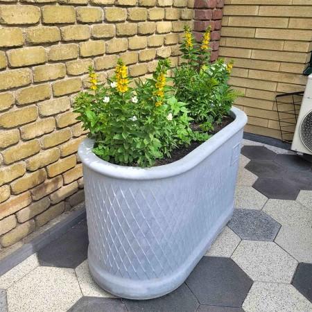 Квітник Барселона Гресія