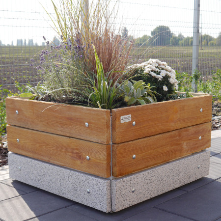 Квітники Глянець кубічні