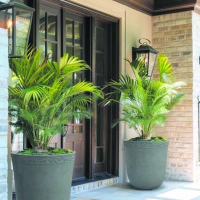 Квітник Мікс Фешн (5) Квітник Мікс Фешн (5)