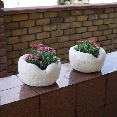 Квітник Чаша Редондо