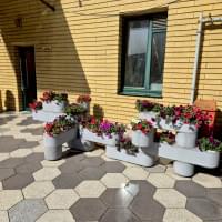 Модульні квітники «Сет» і «Бамбу»: свобода ландшафтних рішень Модульні квітники «Сет» і «Бамбу»: свобода ландшафтних рішень
