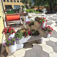 Модульні квітники «Сет» і «Бамбу»: свобода ландшафтних рішень Модульні квітники «Сет» і «Бамбу»: свобода ландшафтних рішень