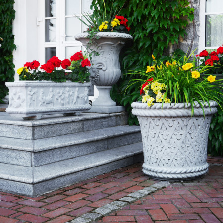 Квітник Естела Гранде