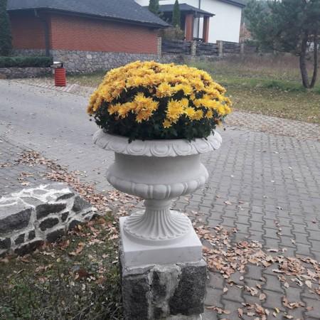 Чаша Треви