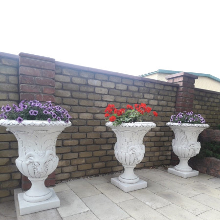 Чаша Капрікорніо