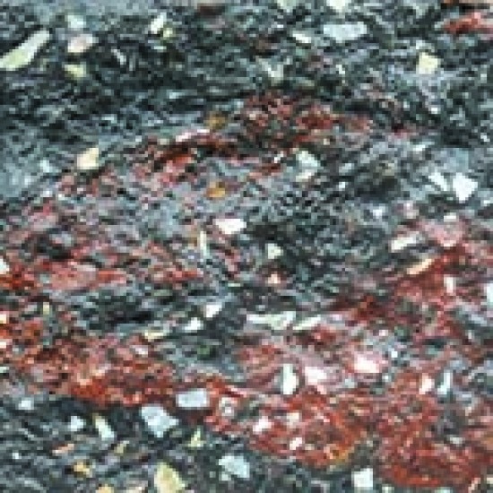 Камінь декоративний для клумби 175х500