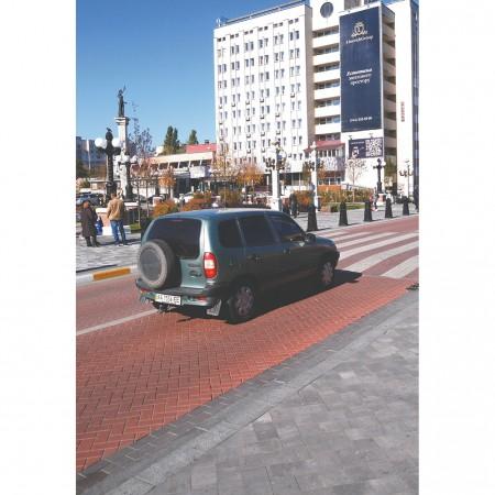 Кирпич 200х100 h-40