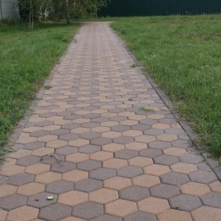 Сота h-60