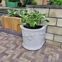 Колекція «Цитрус» 