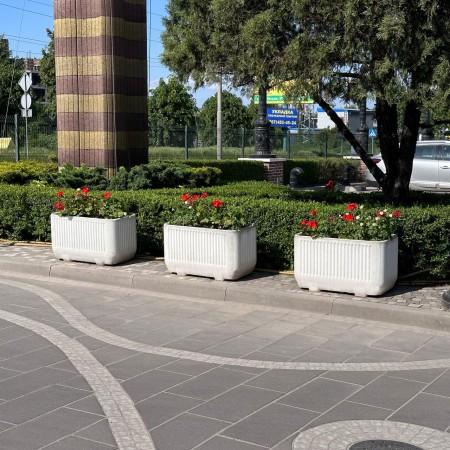 Квітник Тира 2