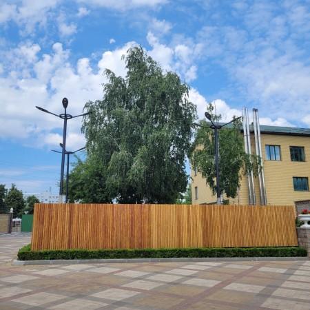 Фонарь Тетра Барселона