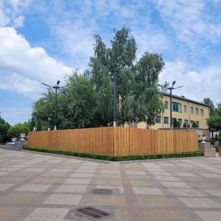 Фонарь Тетра Барселона