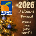 С Новым 2026 годом!
