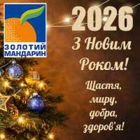С Новым 2026 годом!
