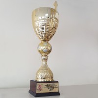 Победа футбольной команды "Золотой мандарин" в открытом чемпионате
