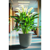 Форма. Баланс. «Мікс Фешн»