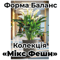 Форма. Баланс. «Мікс Фешн»