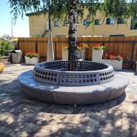 Лавки Гап: Шедеври Бетонного Мистецтва, Які Змінять Ваше Уявлення про Відпочинок