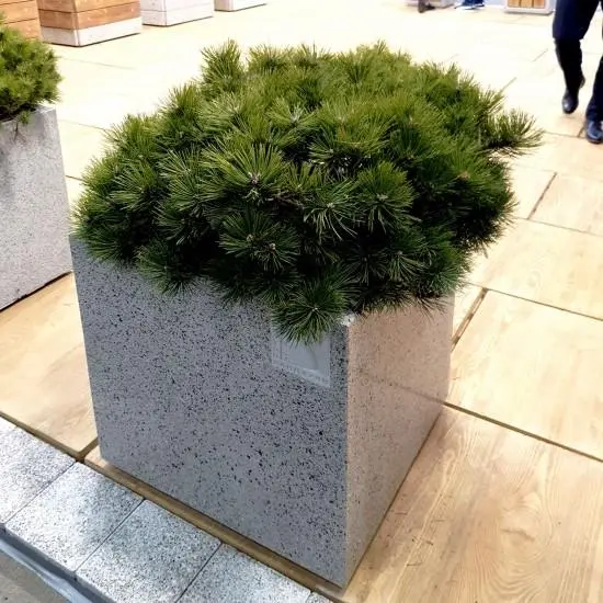 Квітник Соло 600х600х620