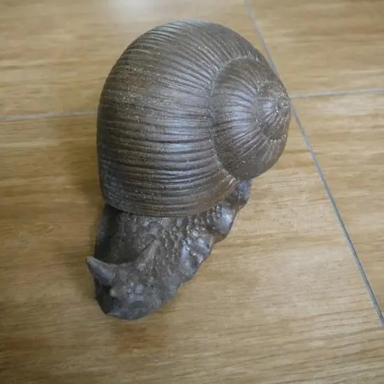 Улитка