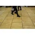 Дерево?.. Бетонна плита Форест!