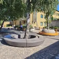 Золотой Мандарин Приглашает в Свой Парк с Лавочками Гап и Пафо!