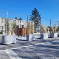 Барселона Вашого Міста: Квітник 'Гресія' від 'Золотого Мандарину'
