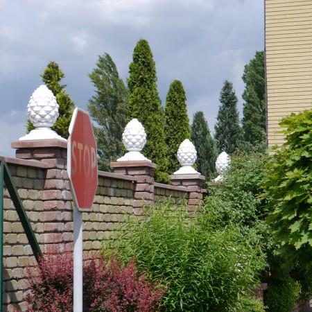 Шишка крышка Шишка крышка