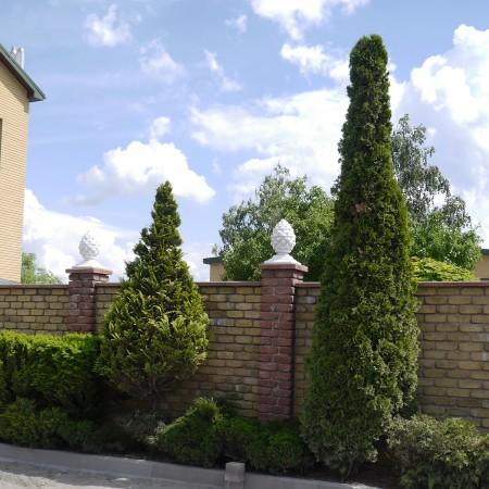 Шишка крышка Шишка крышка
