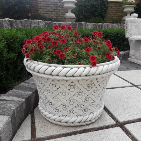 Цветочница Стелла